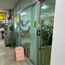 댕댕이발소 | 평택 고덕 애견미용 댕댕이발소 재방문 후기