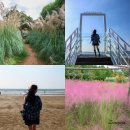 청산정 | 충남 태안 가볼만한곳 BEST4 몽산포 해수욕장 갯벌체험 청산수목원 핑크뮬리 외