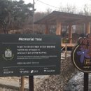 내가할개 이미지