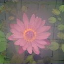 길목농장 이미지