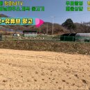땅파남부동산중개사무소 이미지