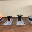 무브문스튜디오(요가)