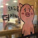 국민돼지 이미지