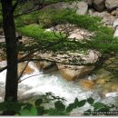 지리산愛 이미지