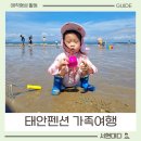 상상펜션 | 태안 펜션 가족여행, 수영장까지 완벽한 상상 키즈 펜션 후기 갯벌체험 추천