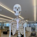 메디앤컬필라테스서울 | 울산필라테스자격증 준비 메디앤컬필라테스 삼산점 후기