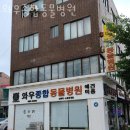 와우종합동물병원 | 관악구 남현동 동물병원 와우종합동물병원 위치 오는길 후기