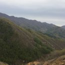 자원봉사론 이미지