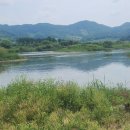 충주 올갱이해장국