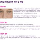 안산미드림