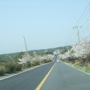 글라라목장 이미지