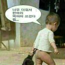 참 - 울진군 | 참