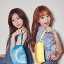 디와이에스