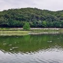 율동공원 이미지