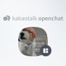 웬만해선 개들을 막을 수 없다 이미지