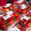 다문2리 이미지