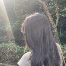비커밍헤어 이미지