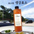 양효당 이미지