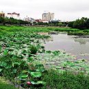 상무시민공원 이미지