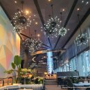 엠메이저크리닝 | [뉴욕/숙소추천] 뉴욕 호텔 2곳 추천! 4성급 M Social Hotel / 5성급 Conrad Downtown (가격, 시설...