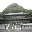 관광여행사주