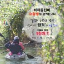 비체올린