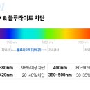 다비치안경 신서귀포이마트 옆점 이미지