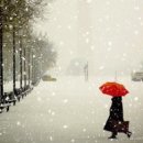 시냇물과 눈꽃세상 이미지