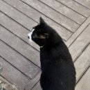 (주)고를샘