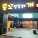 똥꼬발랄하개 똥발포차 네이버블로그