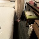 가현스시 | 👭🇯🇵