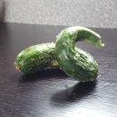 부춘농장 이미지