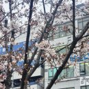 숭의종합사회복지관 | [숭의종합사회복지관] 톡톡 스마트시니어 5회 - 키오스크 사용법 교육