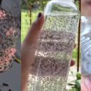 마장동고기집 이미지