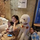 팀폭스멀티짐 | 연년생 출산 후 크로스핏 명지폭스짐에서 다이어트성공 후기