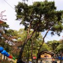 서진모터스 이미지