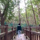 다원다방 이미지