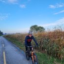 고내천변로 이미지