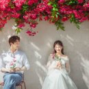 스튜디오온실 이미지