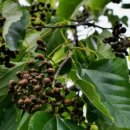 민제한의원 이미지