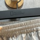 신세계무도장 이미지