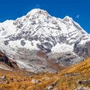 뉴노멀쿡 이미지