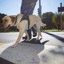 고덕 동물의료센터 이미지