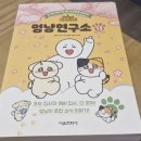 멍냥시대 | 비마이펫 멍냥연구소 13 벚꽃에디션