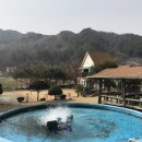 버들치송어장횟집