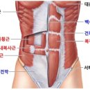 판교우리재활의학과의원 이미지