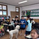 군산경포초등학교 이미지