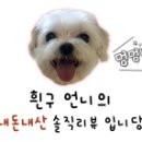 시락당 이미지