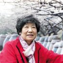 청매실농원 이미지