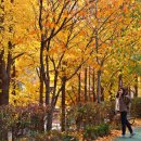 송정제방길 이미지